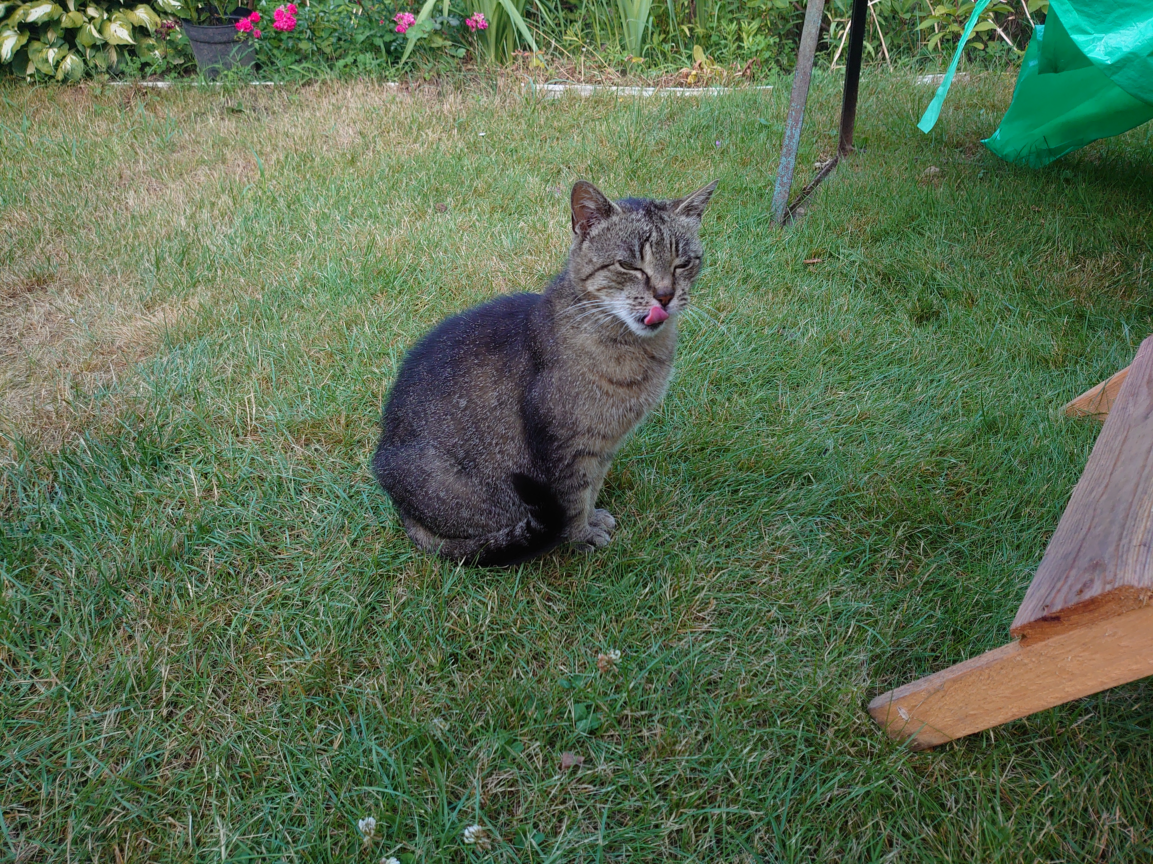 Огляд Sony Xperia 1: "високий" флагман з 4K HDR OLED дисплеєм-282