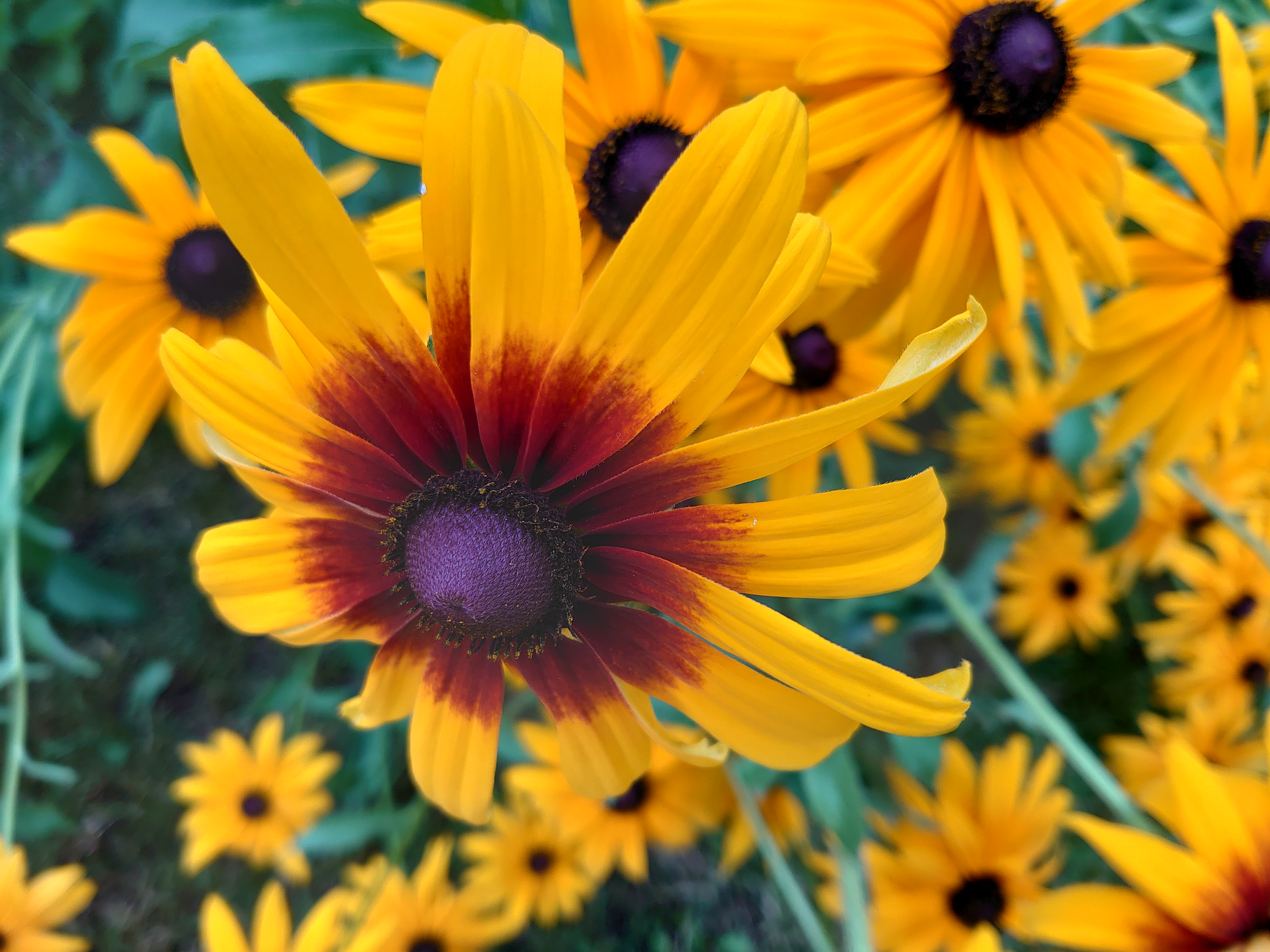 Огляд Sony Xperia 1: "високий" флагман з 4K HDR OLED дисплеєм-283