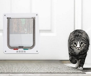Depets Weatherproof Pet Door review