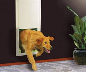 High Tech Pet Power Pet Electronic Pet Door review