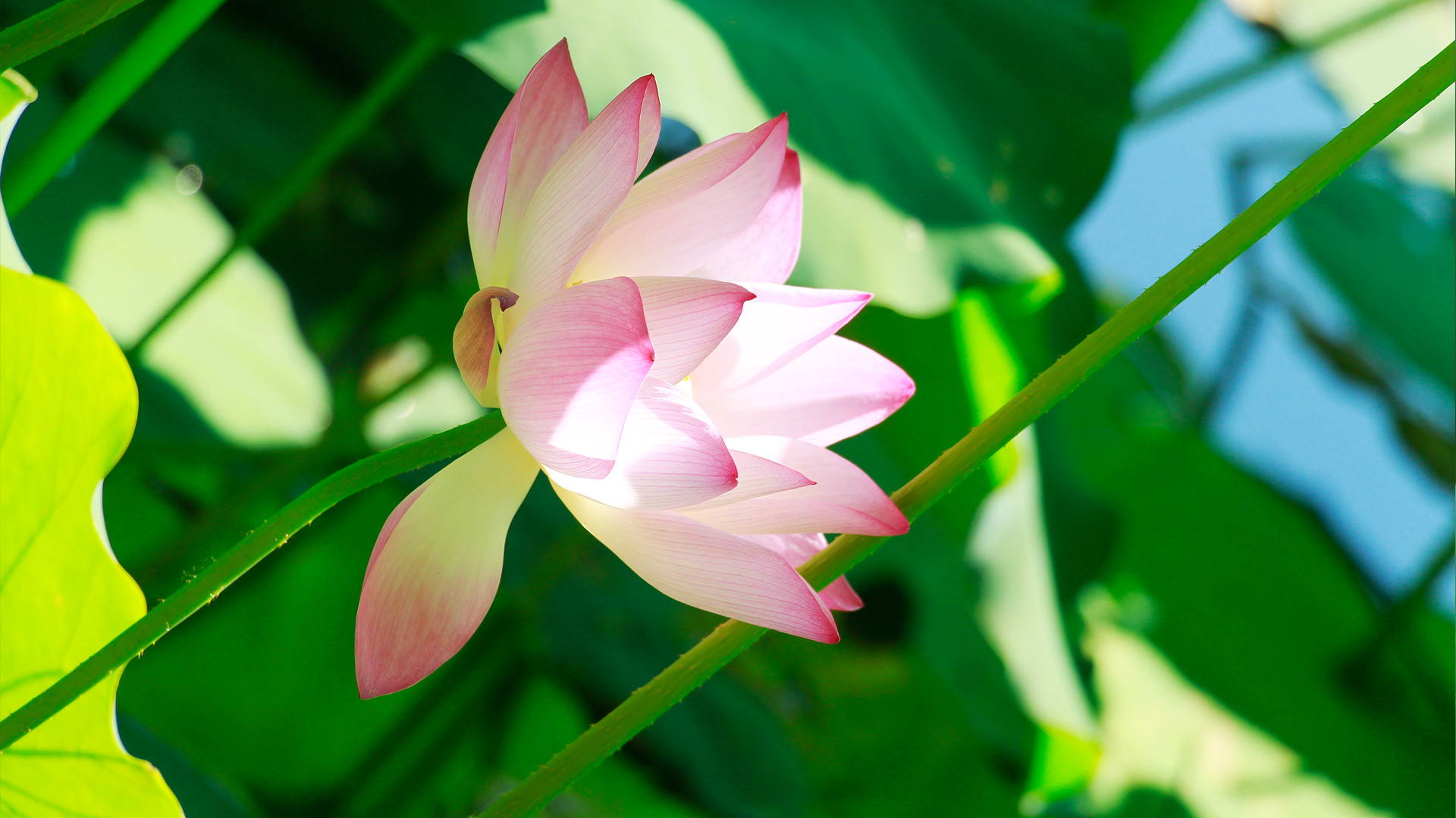 K7 camera effect outside-2.jpg