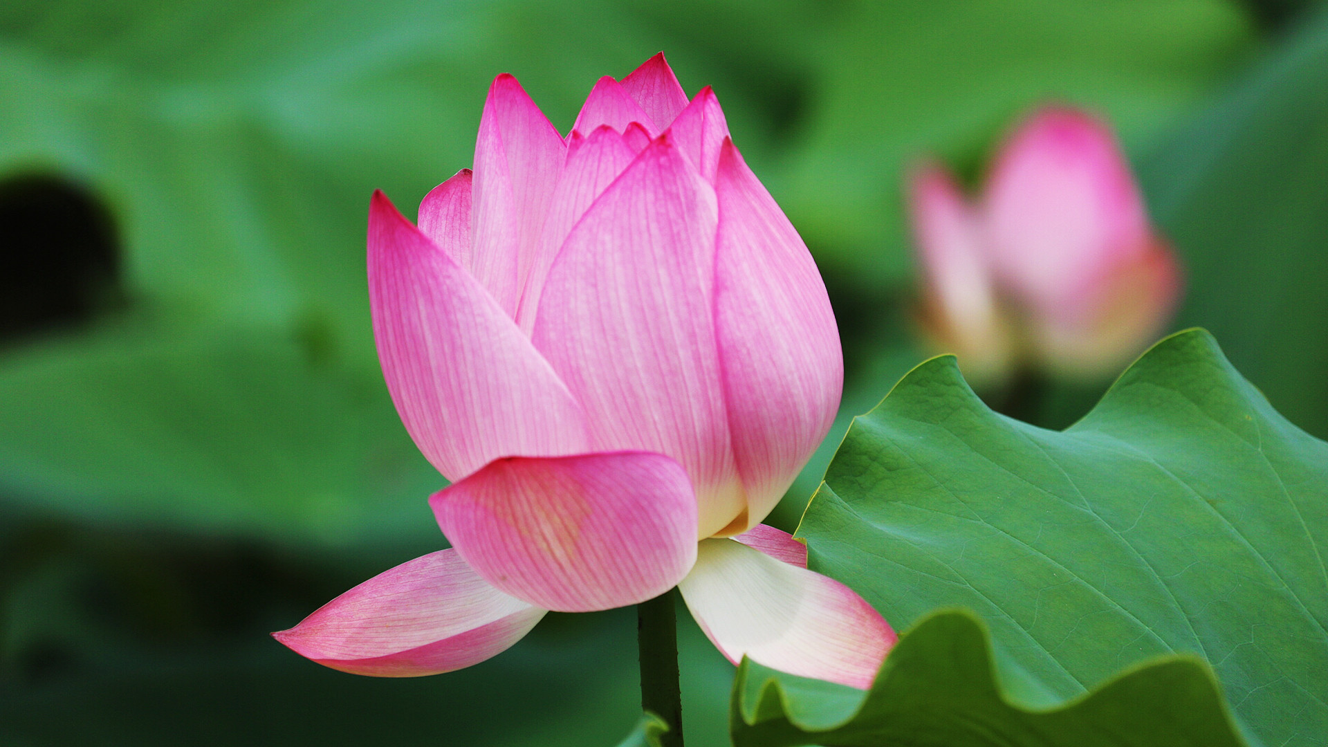 K7 camera effect outside-3.JPG