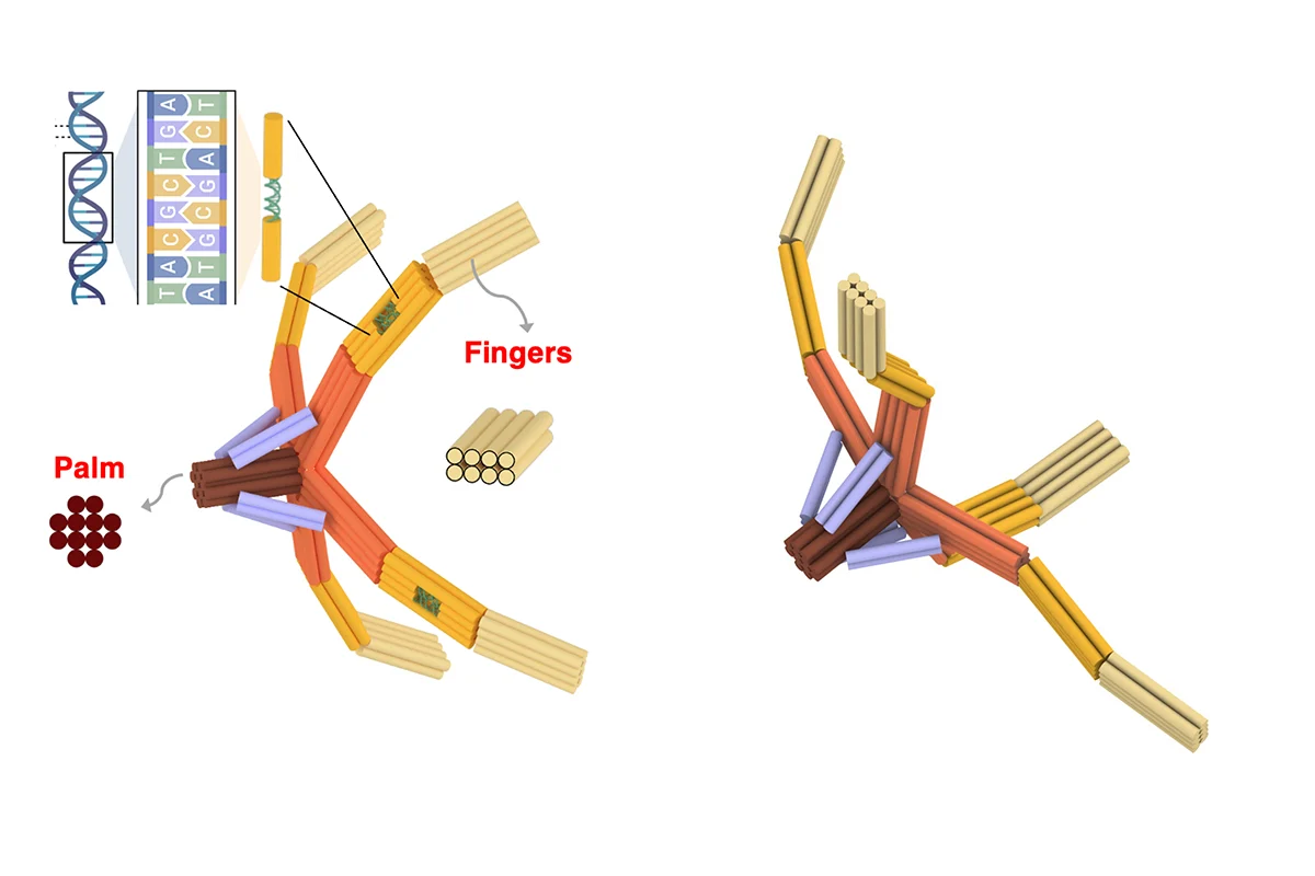 El brazo NanoGripper y sus componentes