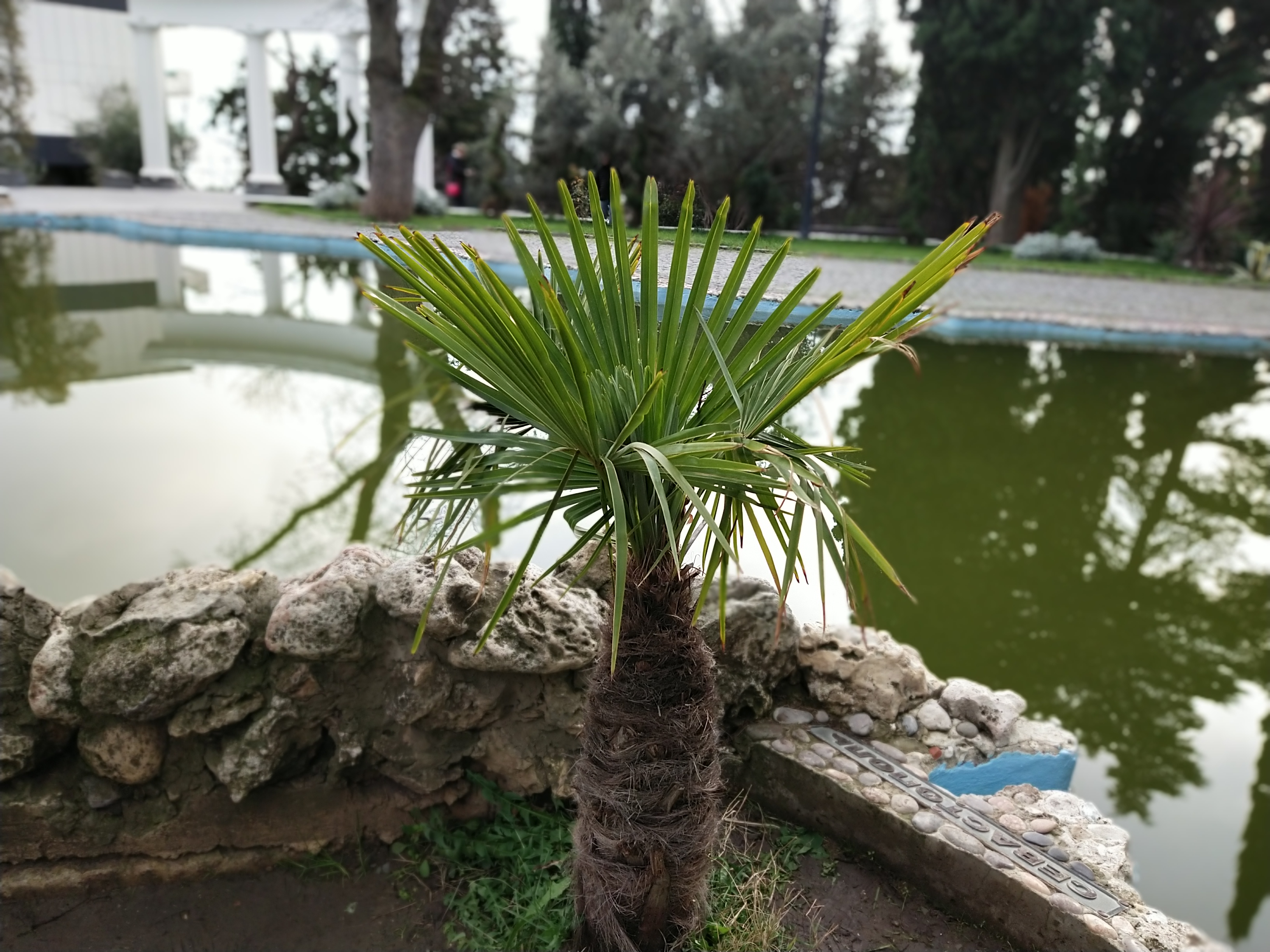 Обзор vivo V17: конкуренты, подвигайтесь!-235