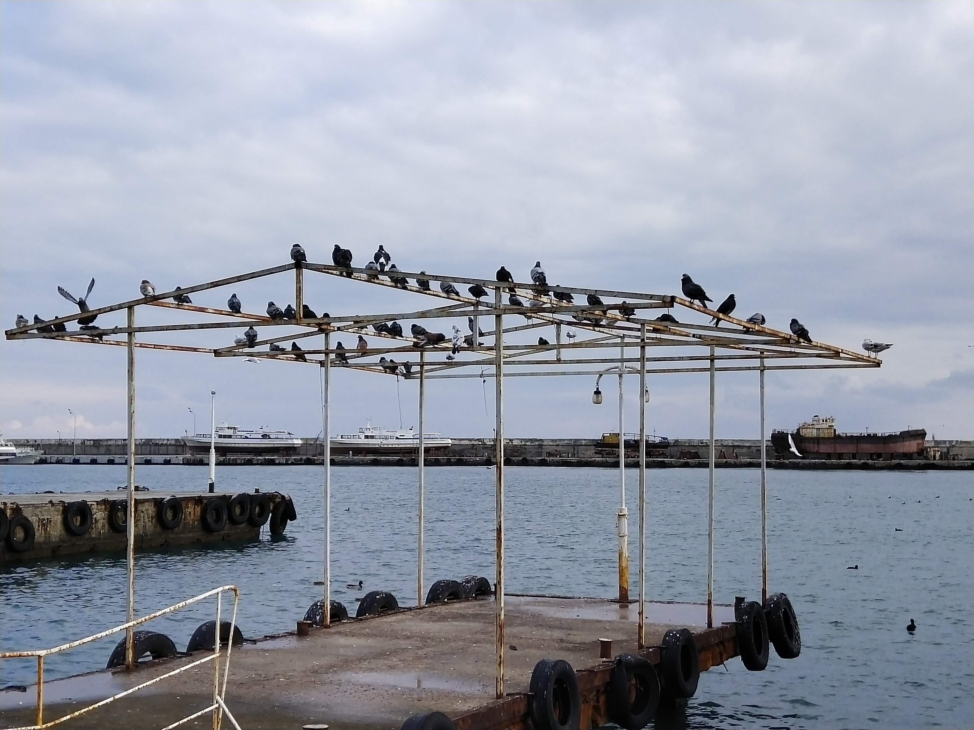 Обзор vivo V17: конкуренты, подвигайтесь!-247