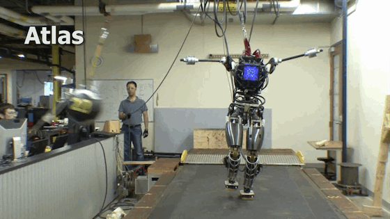 DARPA показала почти 2-метрового робота-гуманоида Atlas с недурным «вестибулярным аппаратом»
