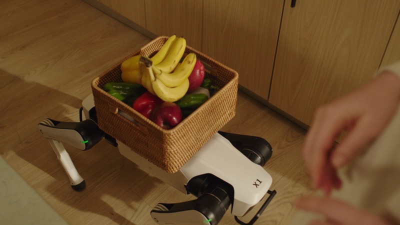 Rover X1 on the street