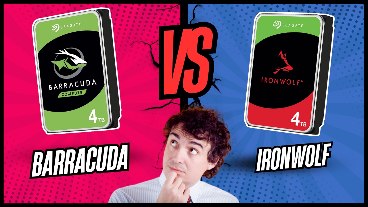 BarraCuda contre IronWolf