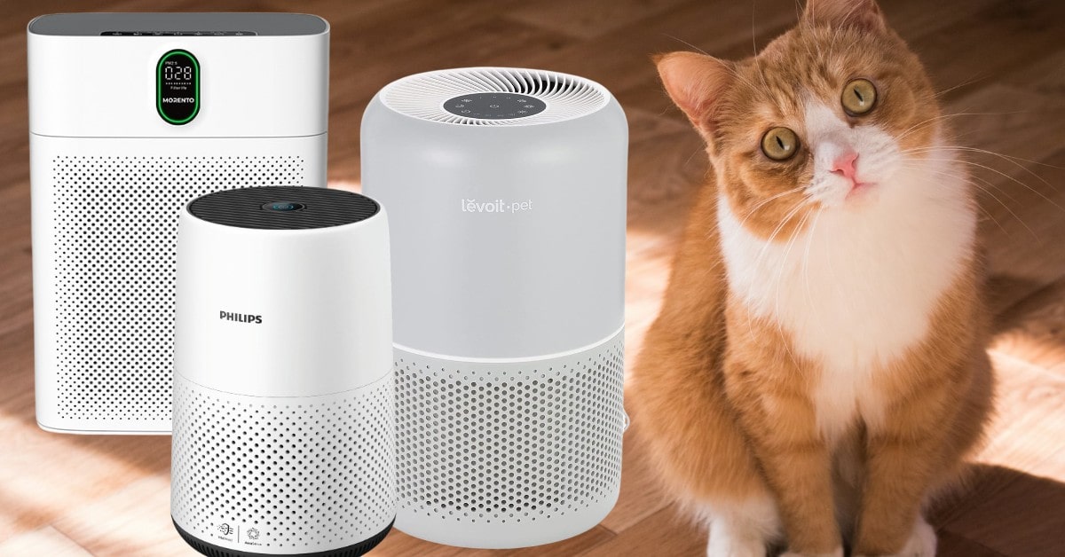 best air purifiers for cat owners