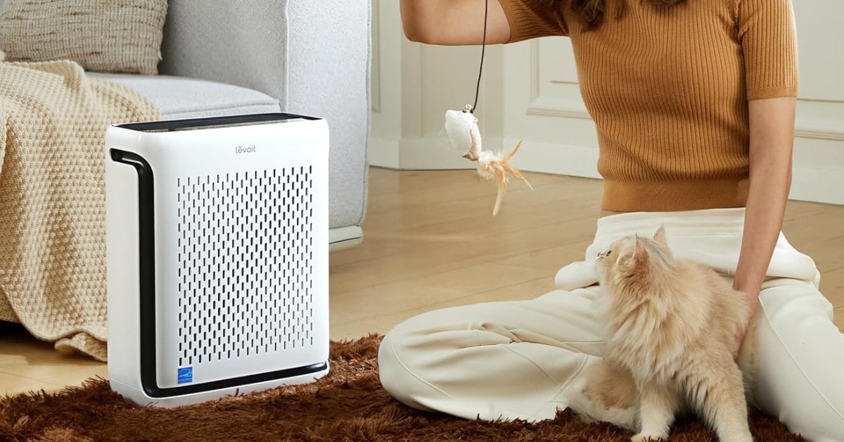 best air purifiers for cats 2024