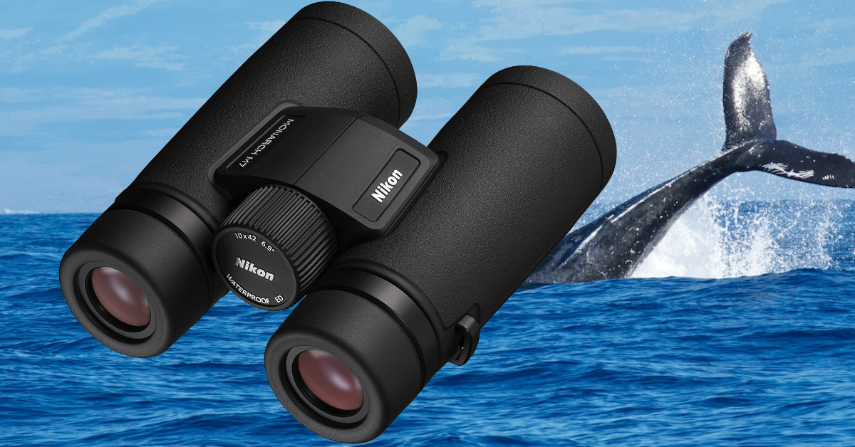 mejores prismáticos para avistamiento de ballenas 2024