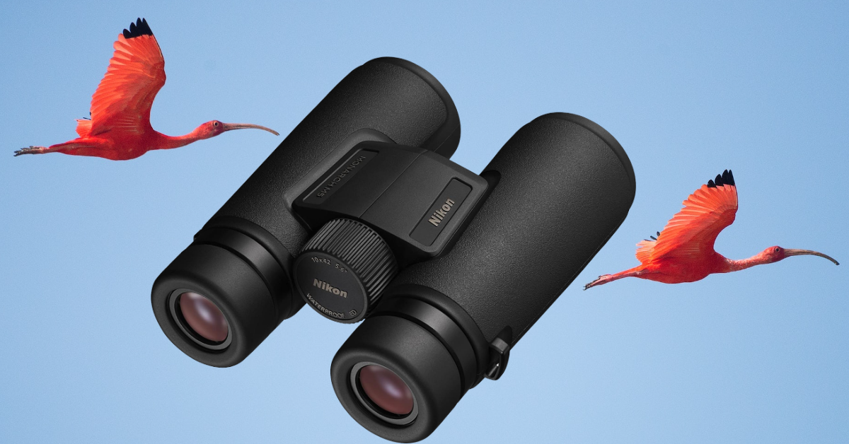 best small binoculars for birding