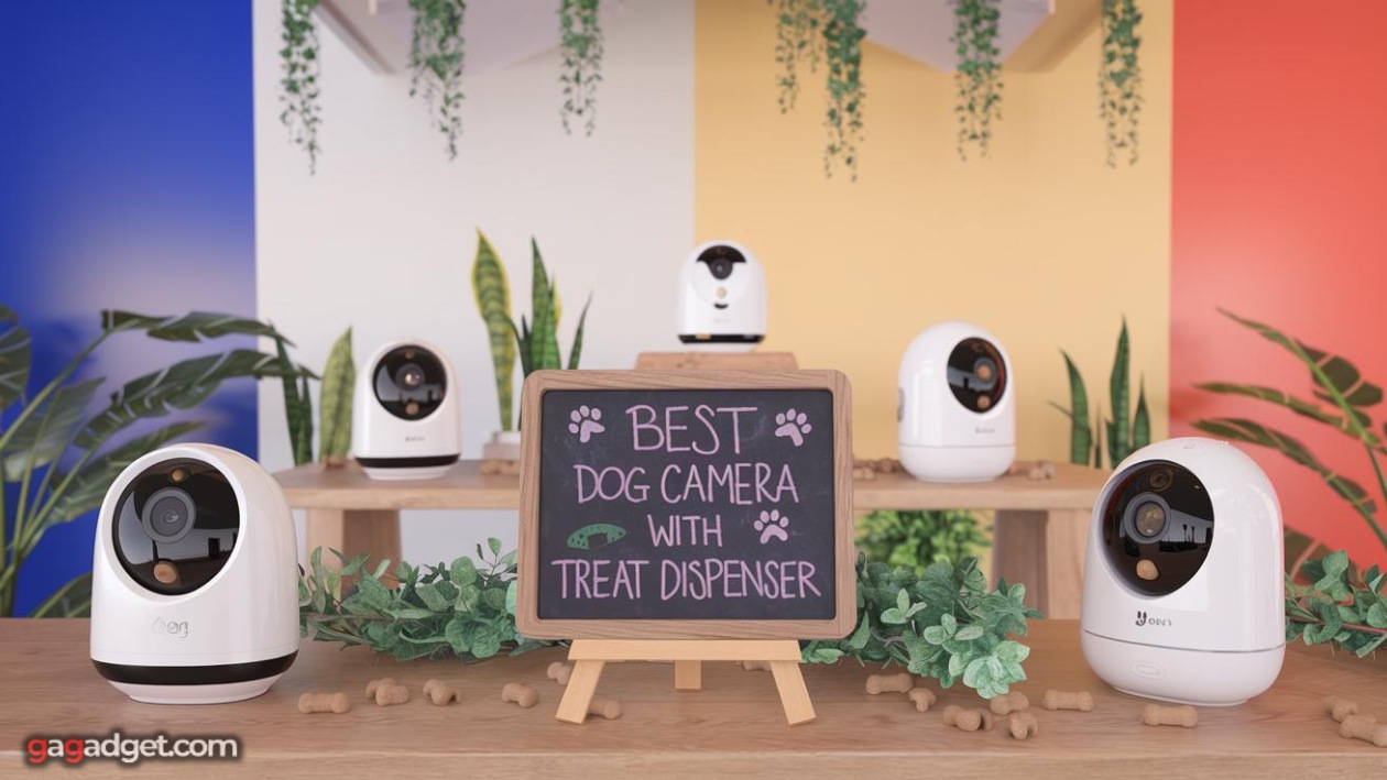 Migliore videocamera per cani con dispenser di snack