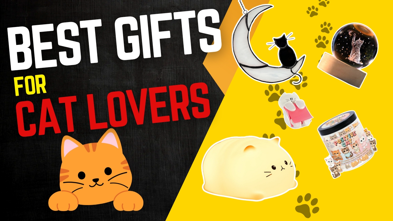 Best Gifts for Cat Lovers 2025