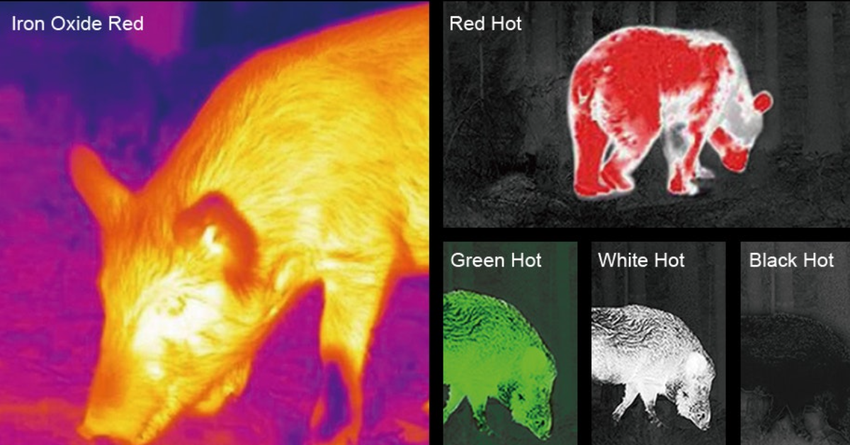 best thermal imaging monocular 2024