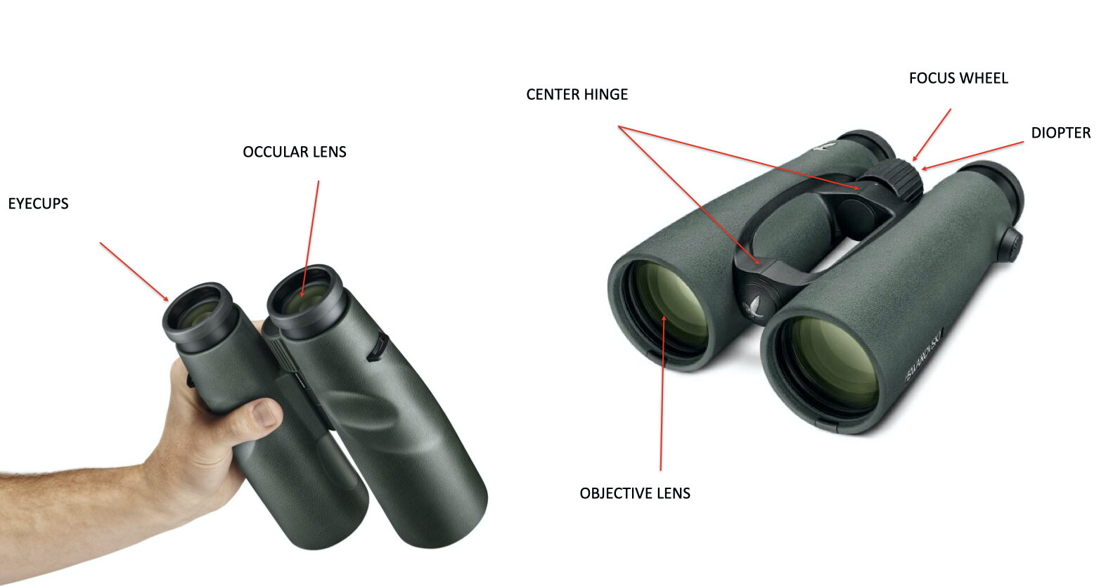 tuning binoculars for clear vision