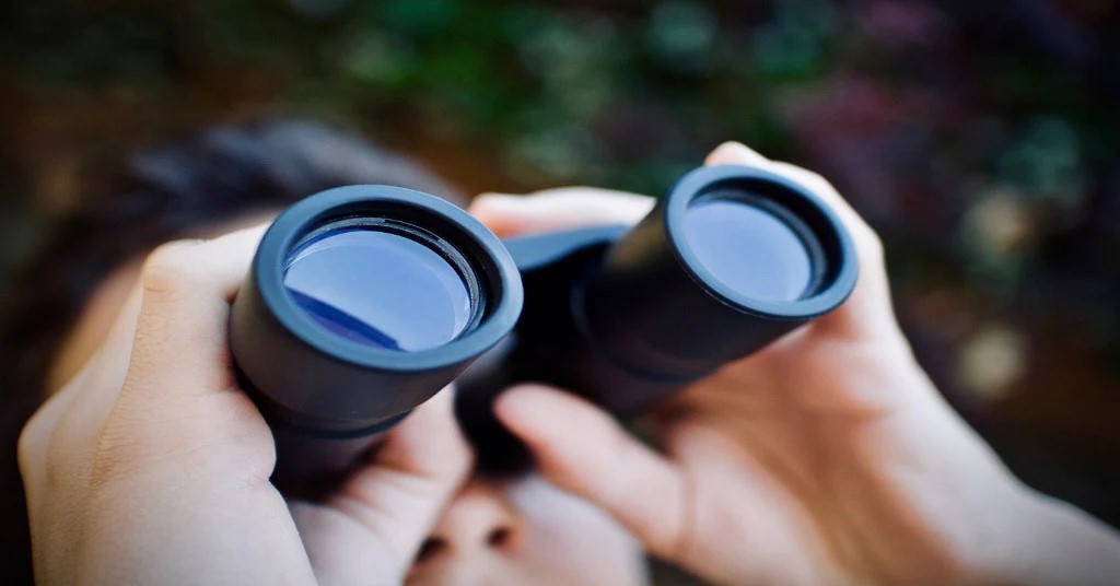 binoculars vs monoculars review