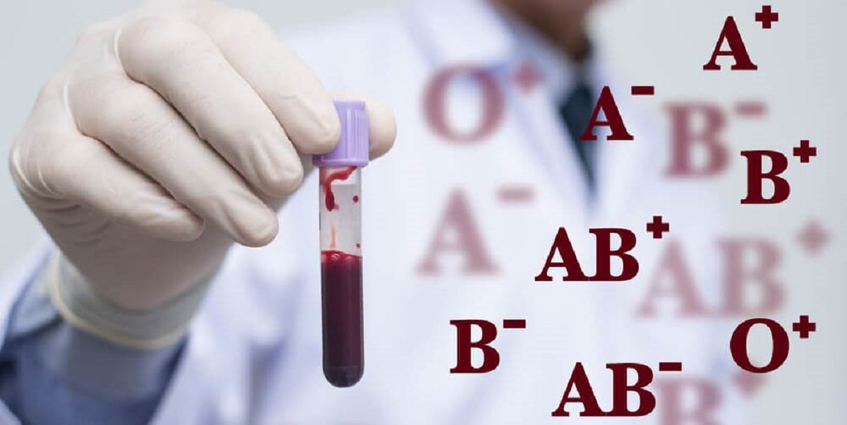 Breakthrough in haematology: scientists have discovered a new blood type MAL