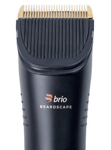 brio blackout beardscape