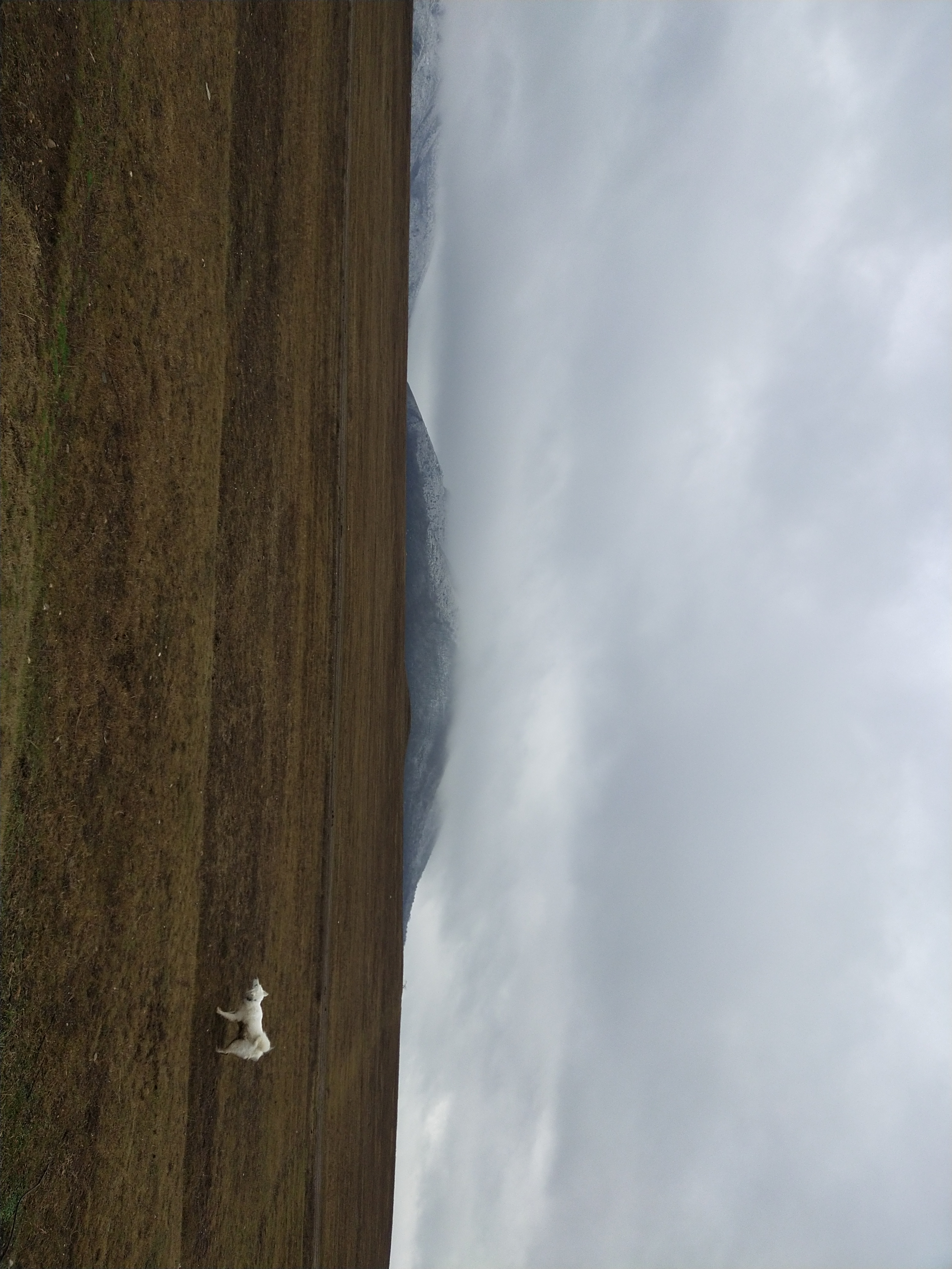 Обзор vivo V17: конкуренты, подвигайтесь!-130