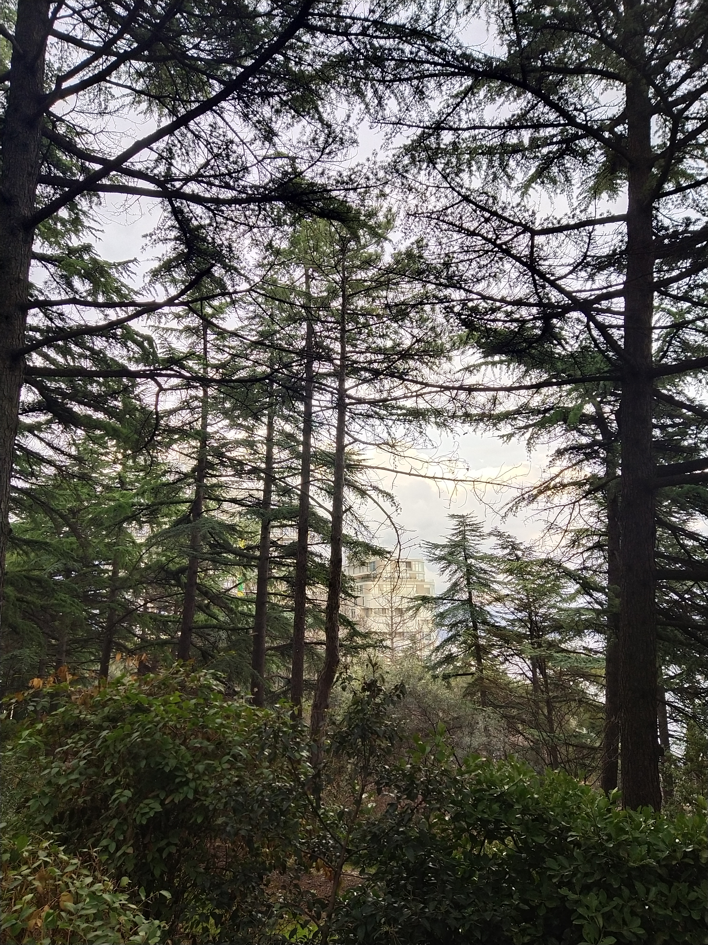 Обзор vivo V17: конкуренты, подвигайтесь!-135