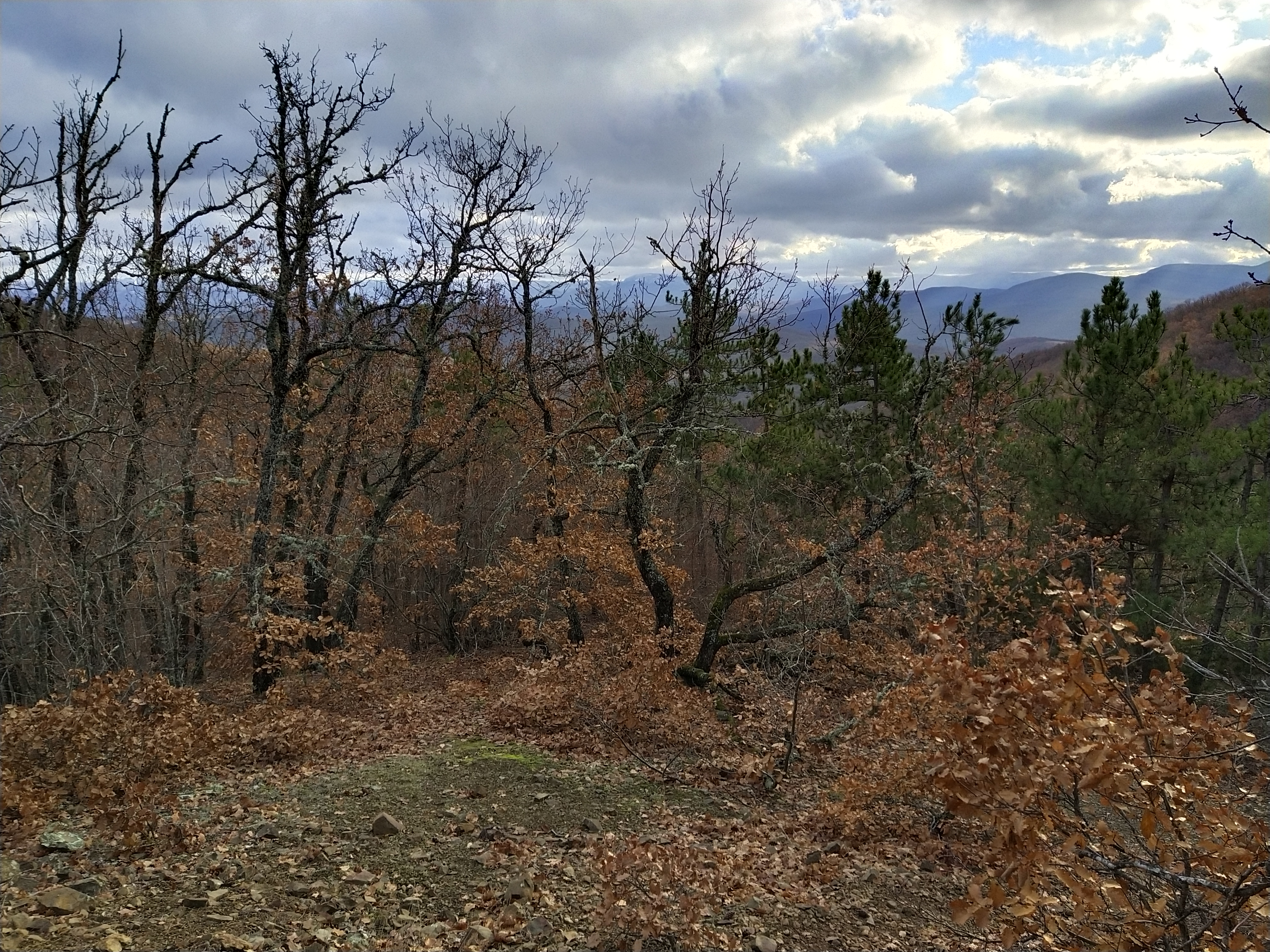 Обзор vivo V17: конкуренты, подвигайтесь!-140