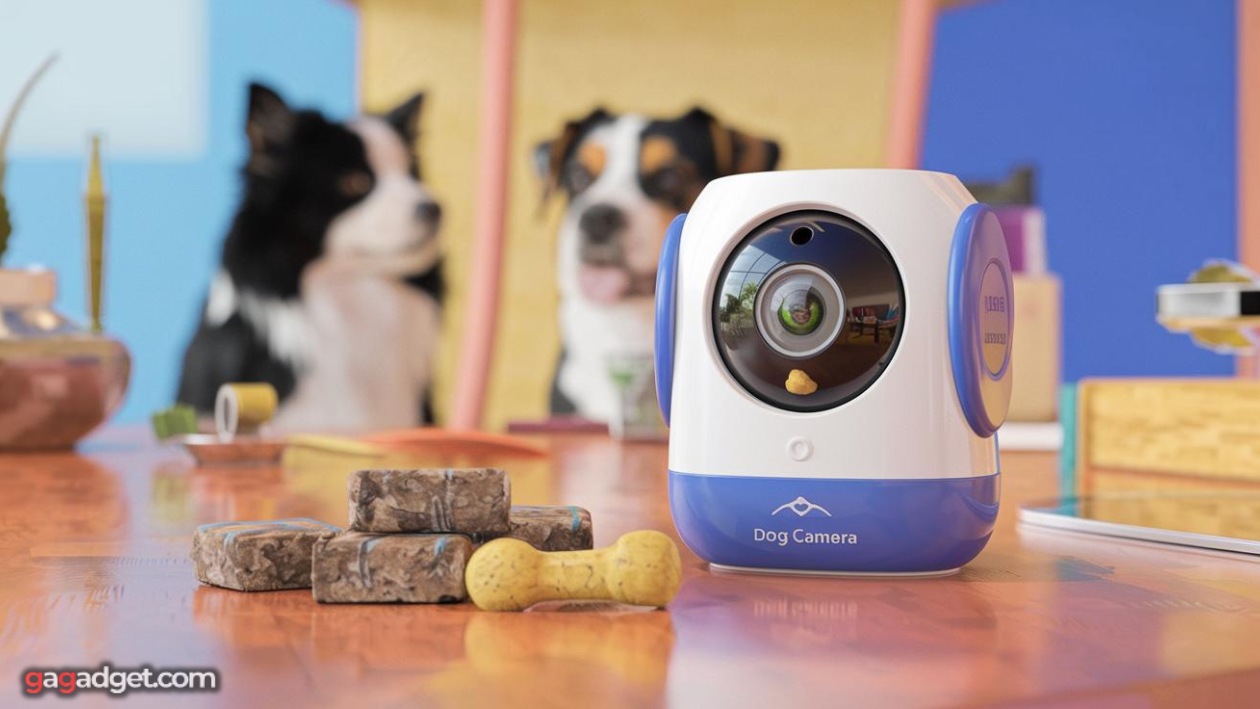 Videocamera di sorveglianza per cani con premi