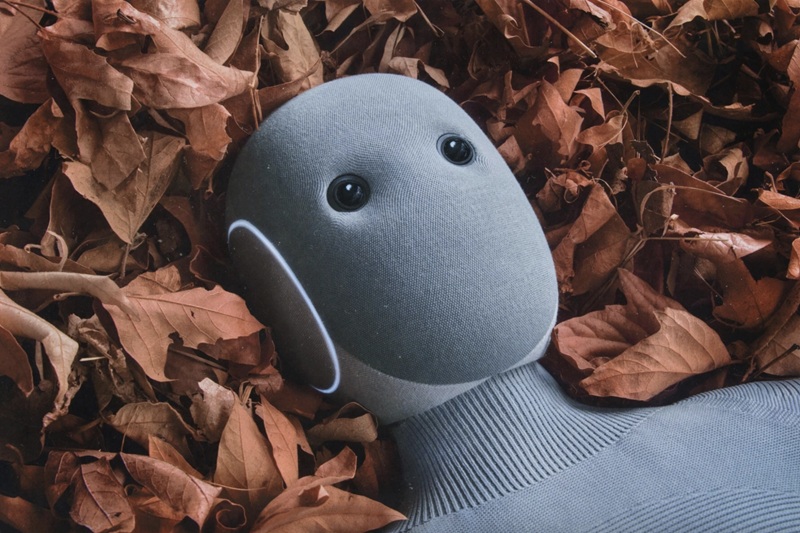 NEO Home Robot in the interior