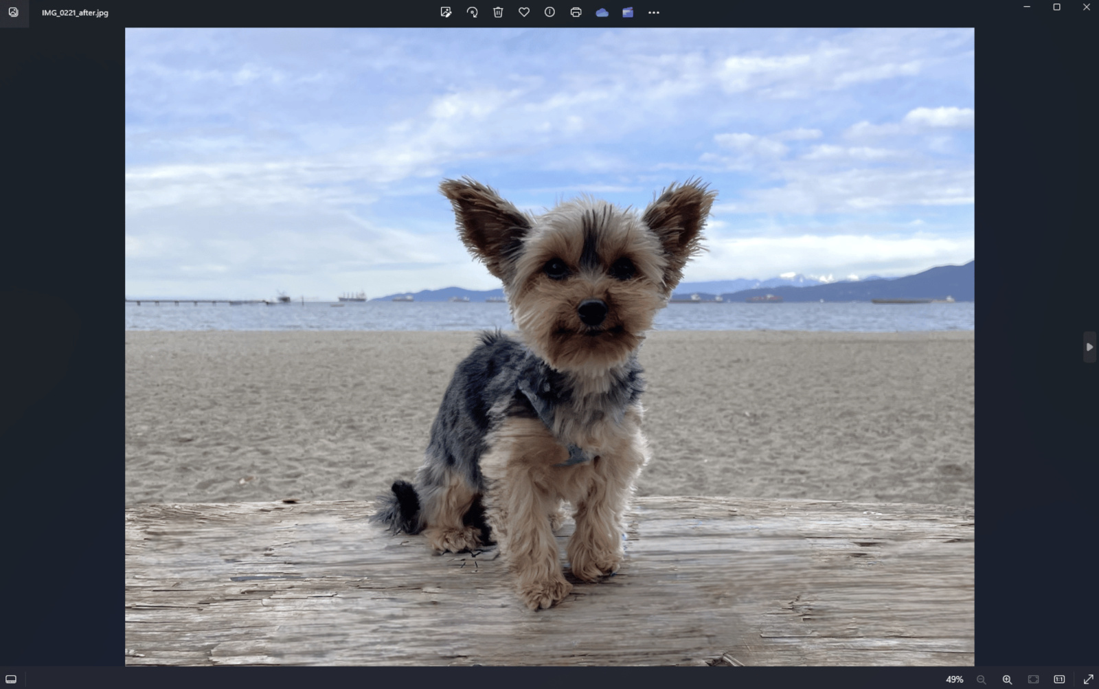 Microsoft добавляет в приложение Windows Photos генеративный инструмент стирания объектов на основе ИИ-2
