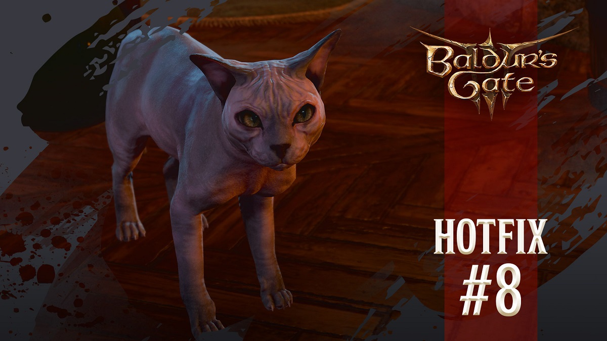 Nuovo hotfix per Baldur's Gate 3: bug risolti, errori critici corretti e il gatto calvo è finalmente tornato calvo