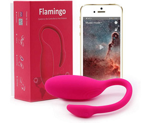 Magic Motion Flamingo, Personal Intelligent Massager Wearable Vibrator for Ladies review