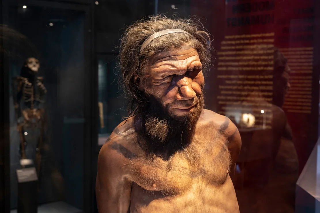 AI heeft antimicrobiële moleculen uit Neanderthalers weer tot leven gebracht om superbacteriën te bestrijden
