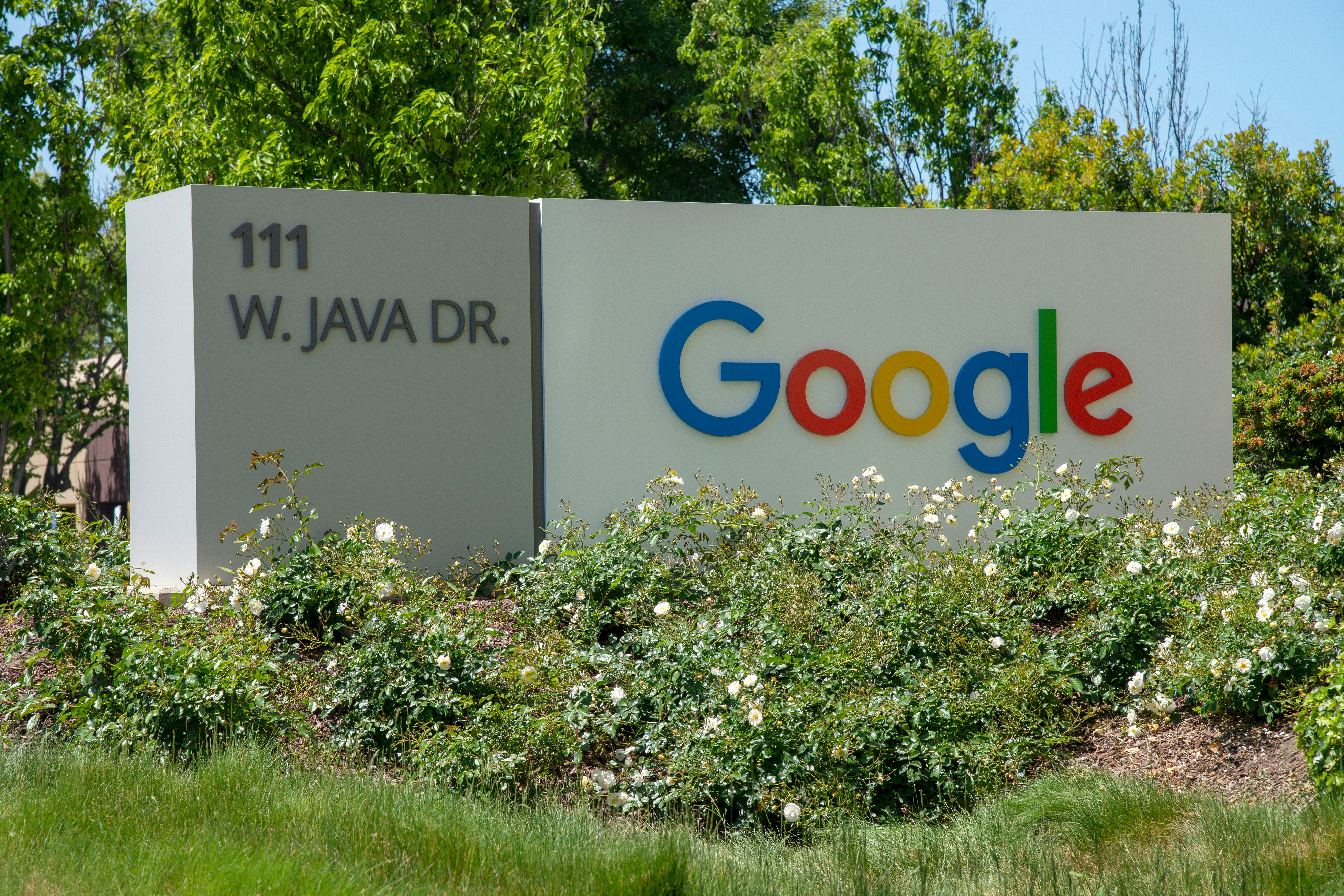 Google har kansellert en kontrakt med en leverandør som hjalp til med å trene opp chatboten Bard.