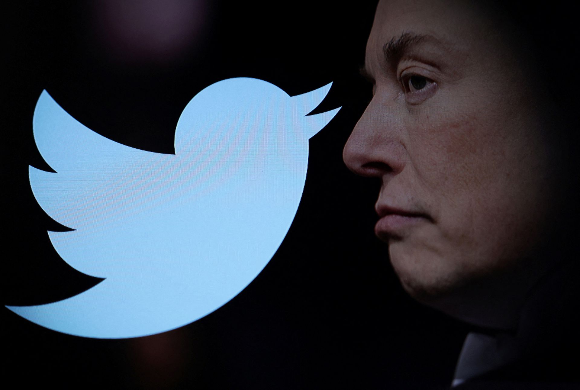 Elon Musk kaufte Twitter für 44 Milliarden Dollar und feuerte sofort das bisherige Management