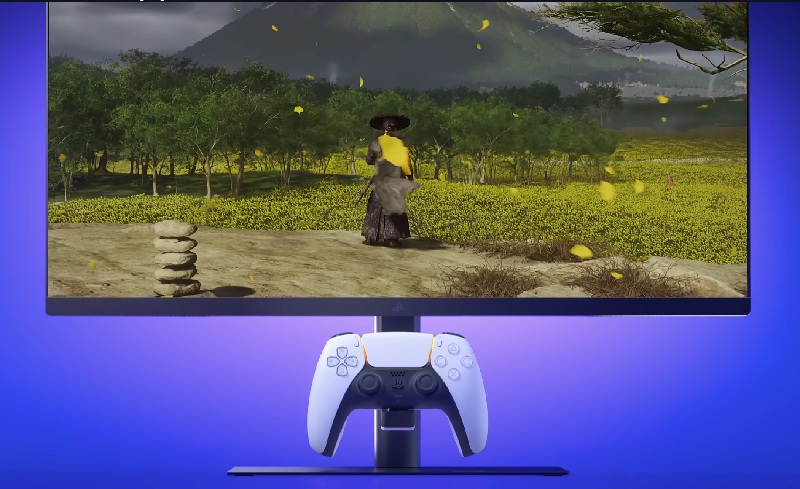 PlayStation Gaming Monitor