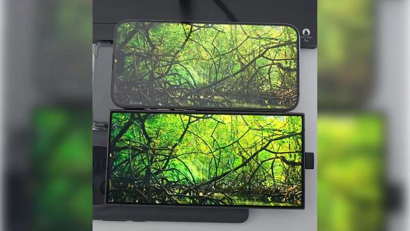 Galaxy S24 Ultra and iPhone 15 display
