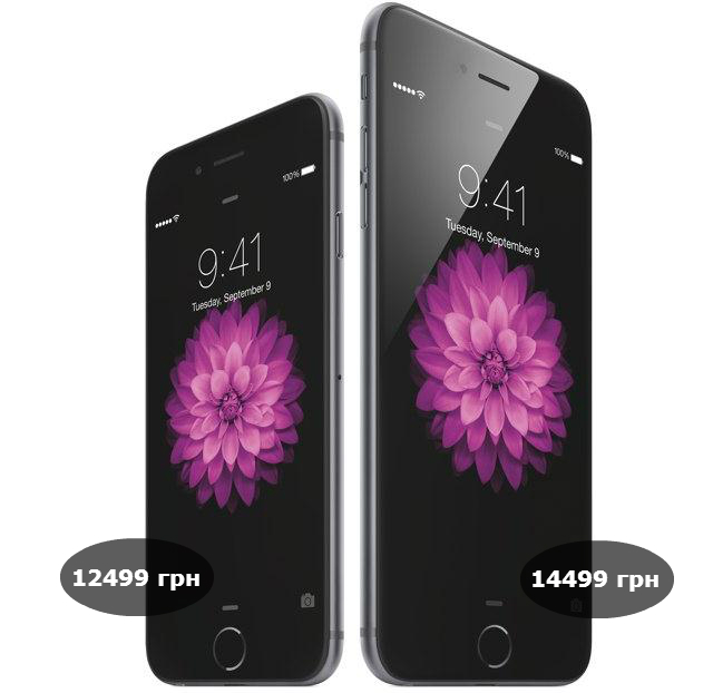 Стала известна цена и дата начала продаж iPhone 6 и iPhone 6 Plus в Украине