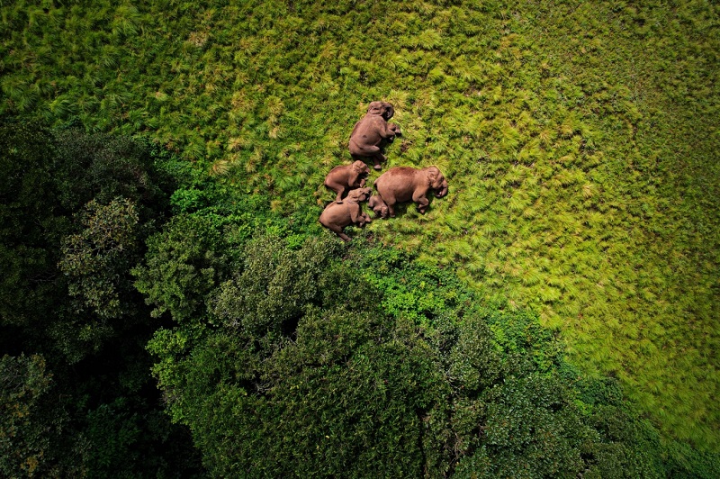 Die Welt mit den Augen von Drohnen: Sehen Sie die besten Beiträge der Drone Photo Awards 2024-8