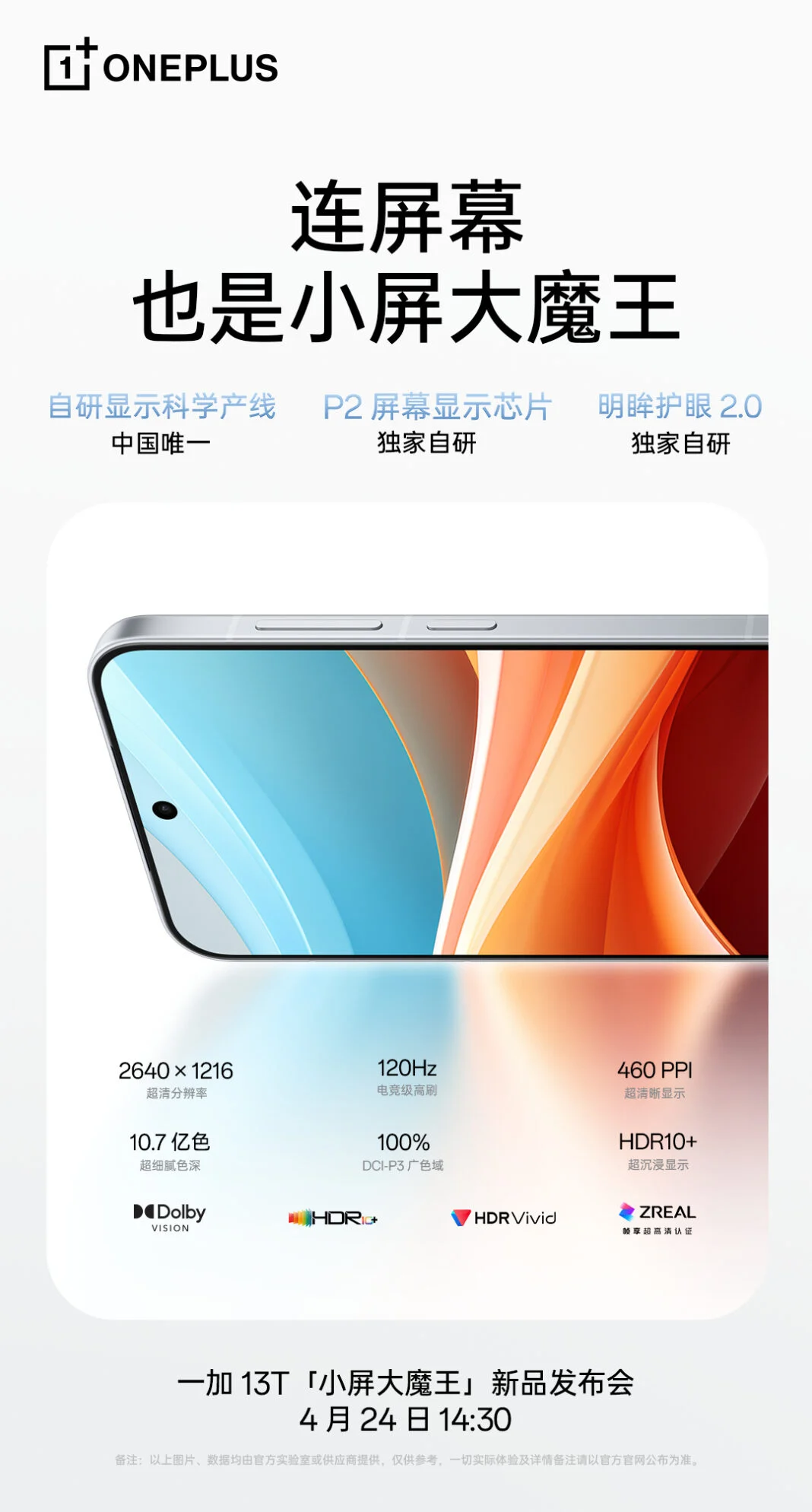 OnePlus 13T display specifications