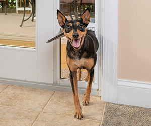 PetSafe Freedom Aluminum Patio Pane Sliding Glass Pet Door review