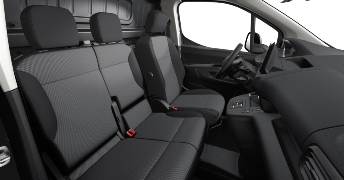 Peugeot Partner Pro Skill - вид сзади