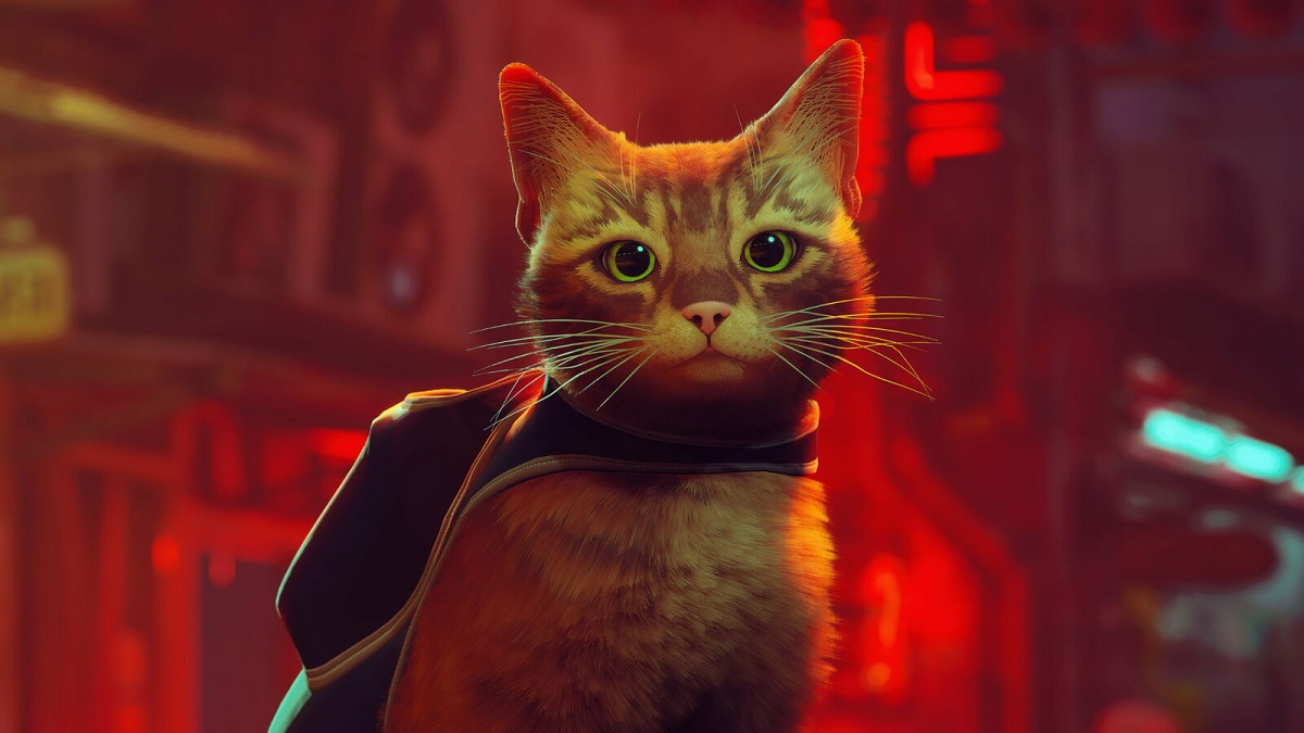 Niedliche Katze erobert eine weitere Konsole: Der Abenteurer-Hit Stray kommt auf Nintendo Switch