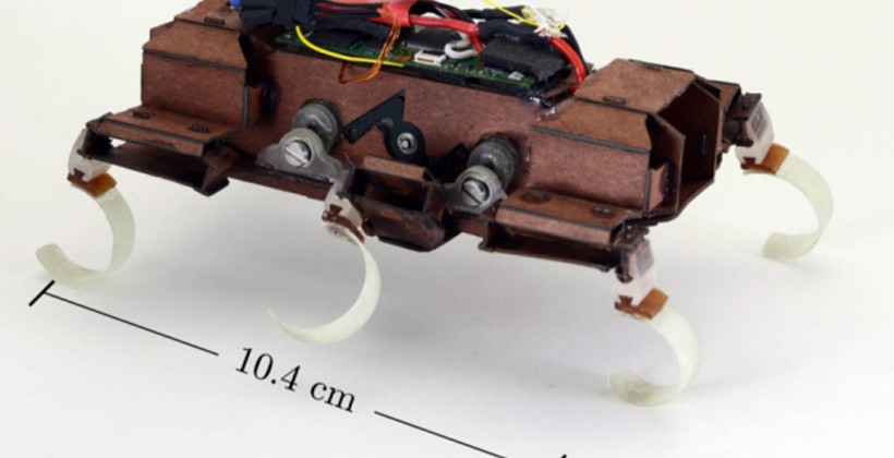 Робот-таракан VelociRoACH бьет рекорды скорости (видео)