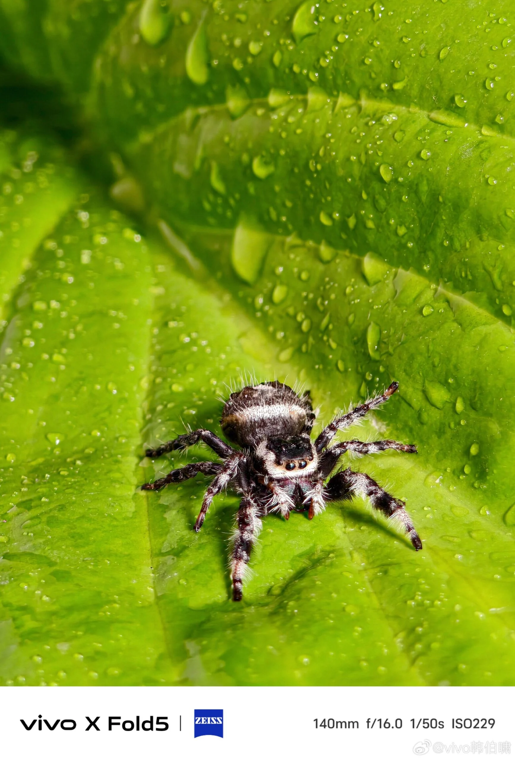 Камера Vivo X Fold 5