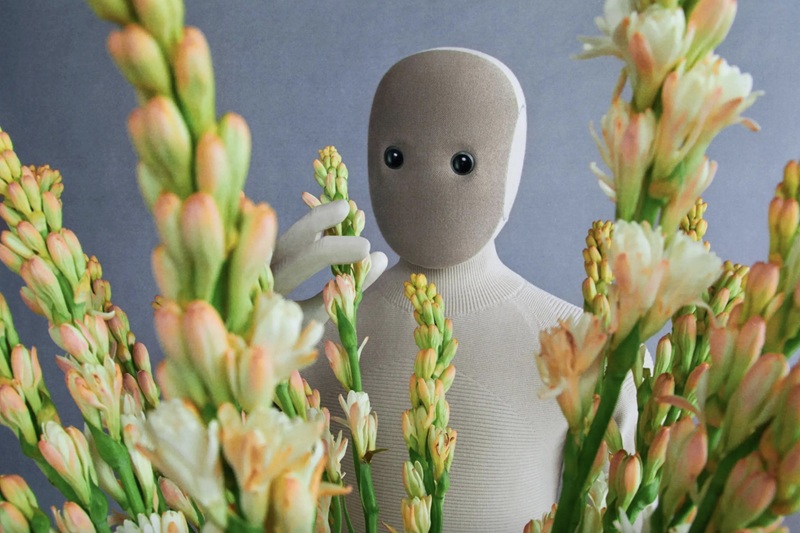 NEO Home Robot functionality