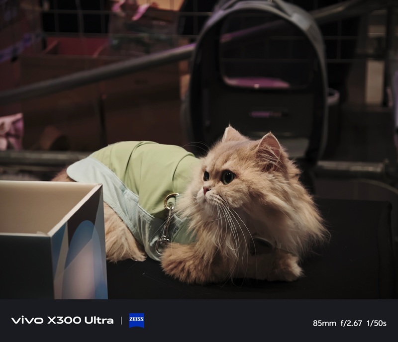 Photo from Vivo X300 Ultra 1