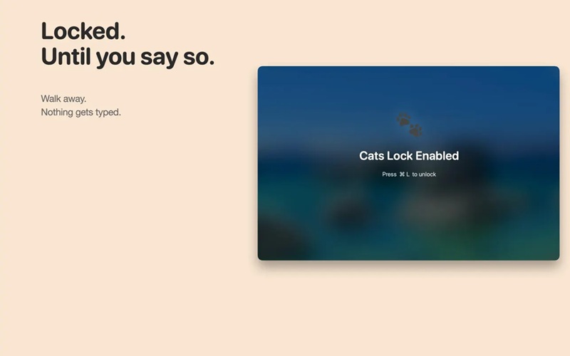 Интерфейс приложения Cats Lock