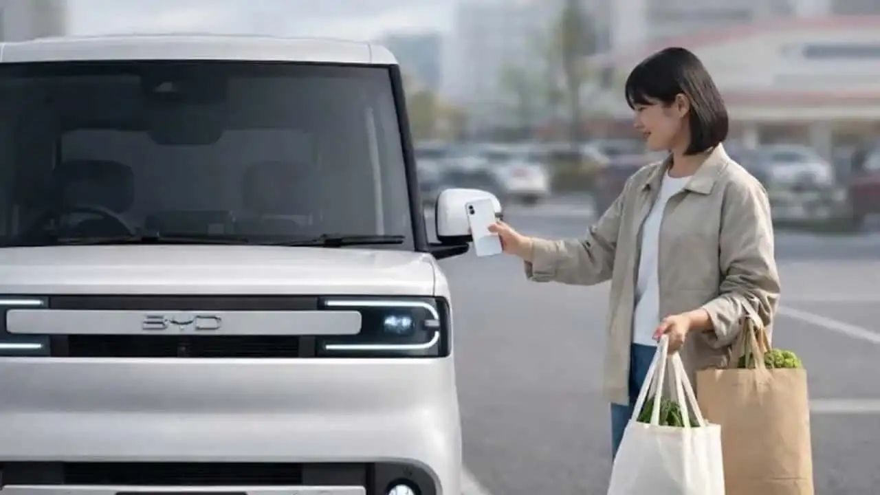 BYD Racco - галерея зображень 4