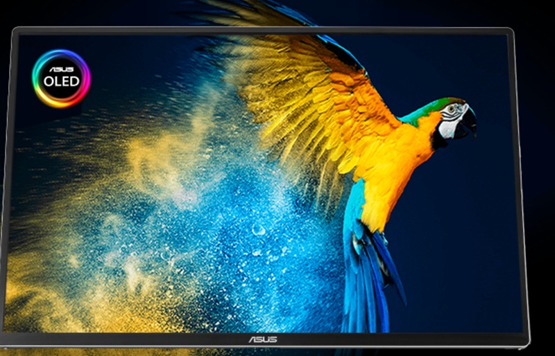 Asus ZenScreen MQ16FC: 16-Zoll-OLED-Panel mit 95 % DCI-P3 und werkskalibiertem Delta E < 2.