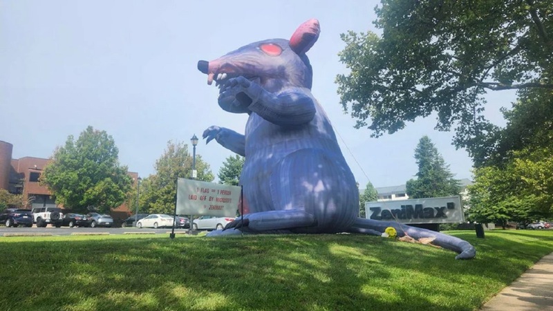Protest at Bethesda Office
